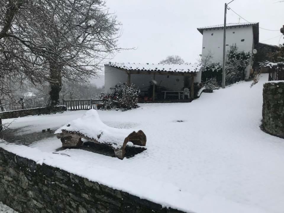 Gasthaus Casa Do Pomar Bragança Exterior foto